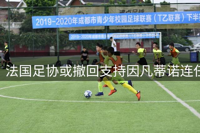 法国足协或撤回支持因凡蒂诺连任